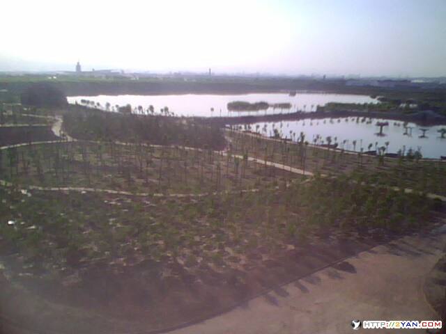 学校后面刚盖好的公园