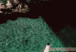 2006052105410420.gif